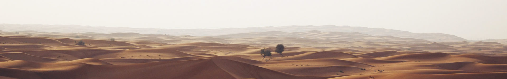 زó޹˾